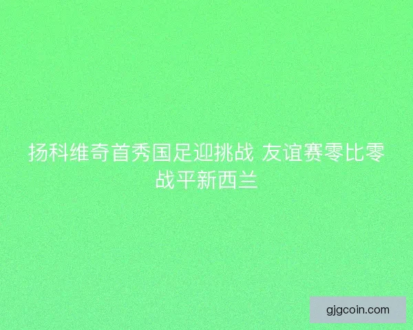 扬科维奇首秀国足迎挑战 友谊赛零比零战平新西兰